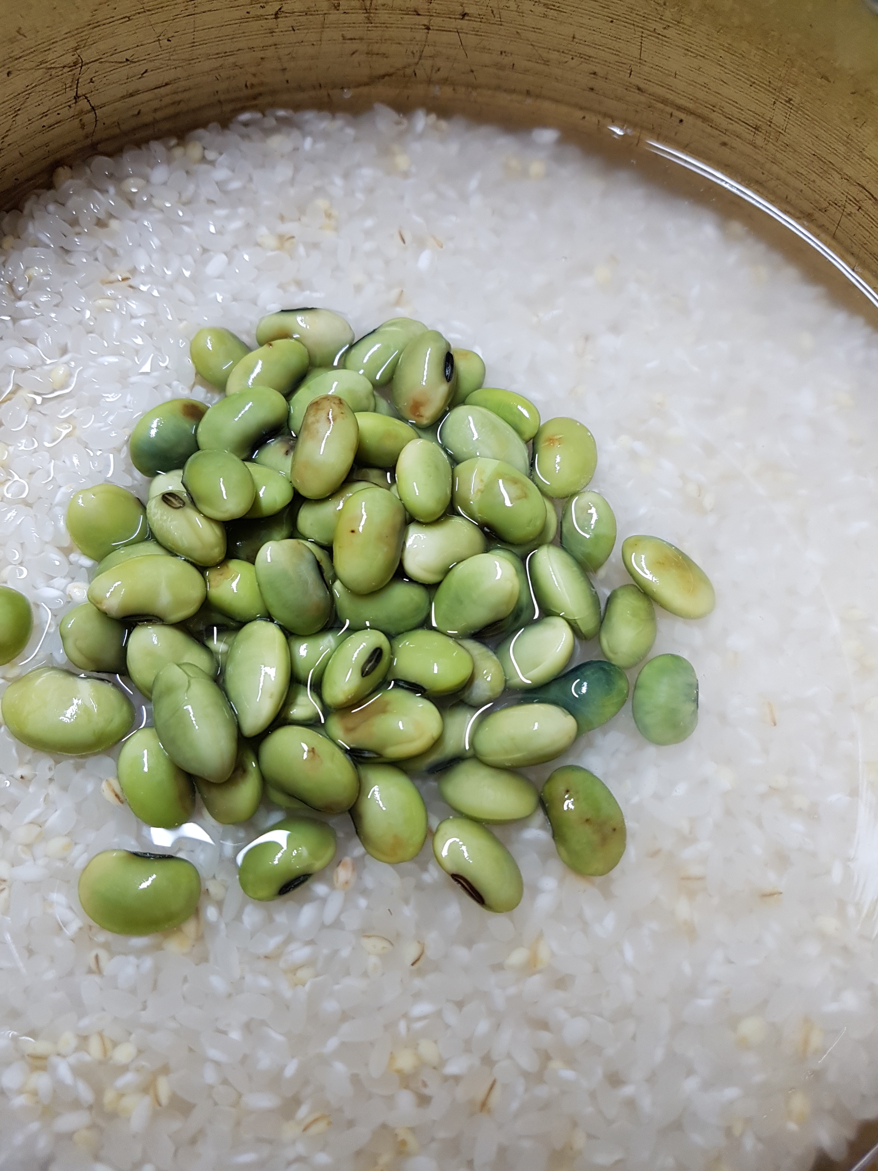 2024 속과겉이푸른콩, 속푸르대콩, 국산콩, 청태콩, 청대콩1kg : 바지런농장