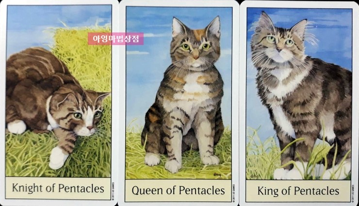 캣츠 아이 타로카드 Cats Eye Tarot 고양이 눈 캣아이 : 아잉의 마법상점