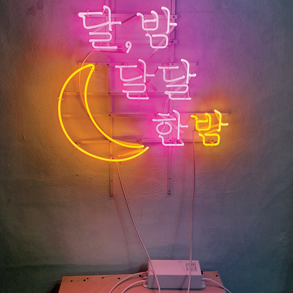 달달한밤 아트네온 공룡슈퍼네온사인 주문제작 감성조명 개업선물 간판 : 파르미오 아트네온