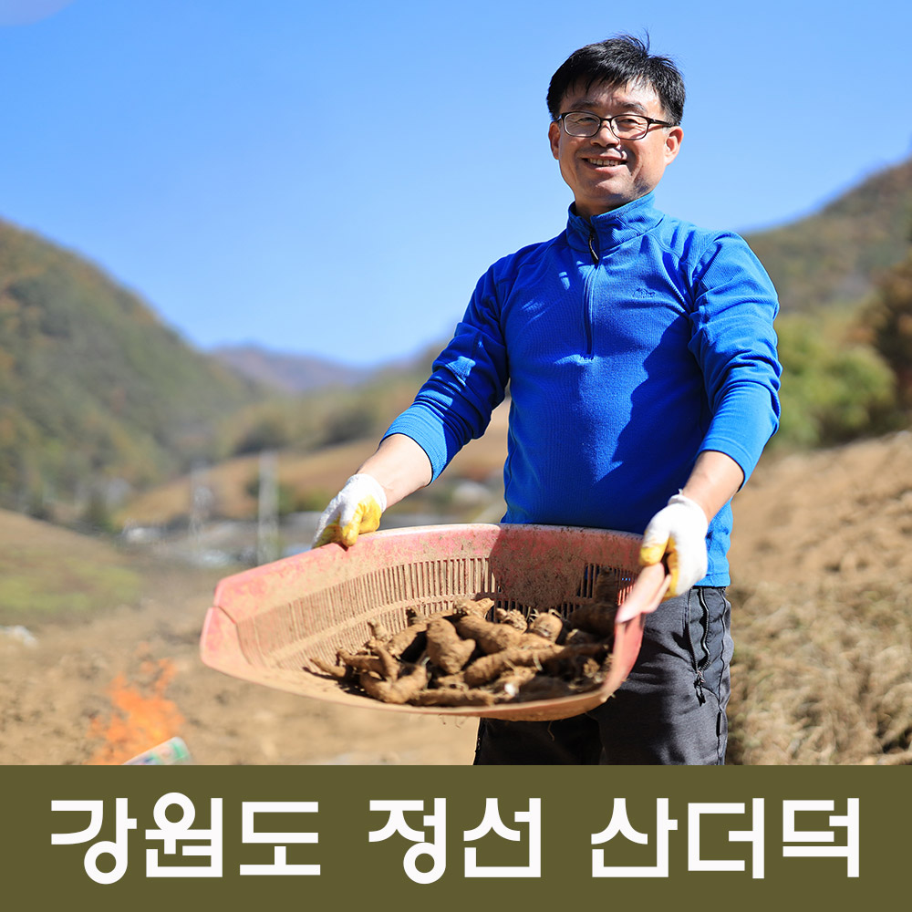 봄더덕 햇더덕 산더덕 정선더덕 상품 1kg : 정선약초백화점