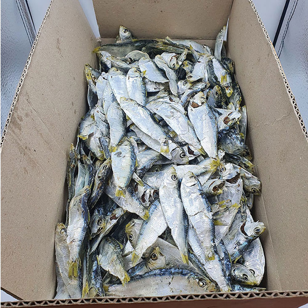 남해(여수) 다시용 디포리(밴댕이) 상급 육수용 1.5kg : 건통령