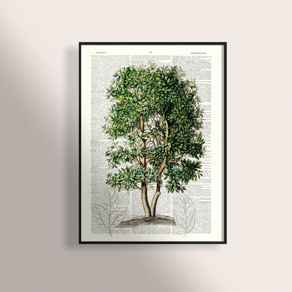 나무아트프린트,빈티지나무,숲,보타니컬,가든액자  - 아트인데코 Artindeco design -  DA591 : 아트인데코