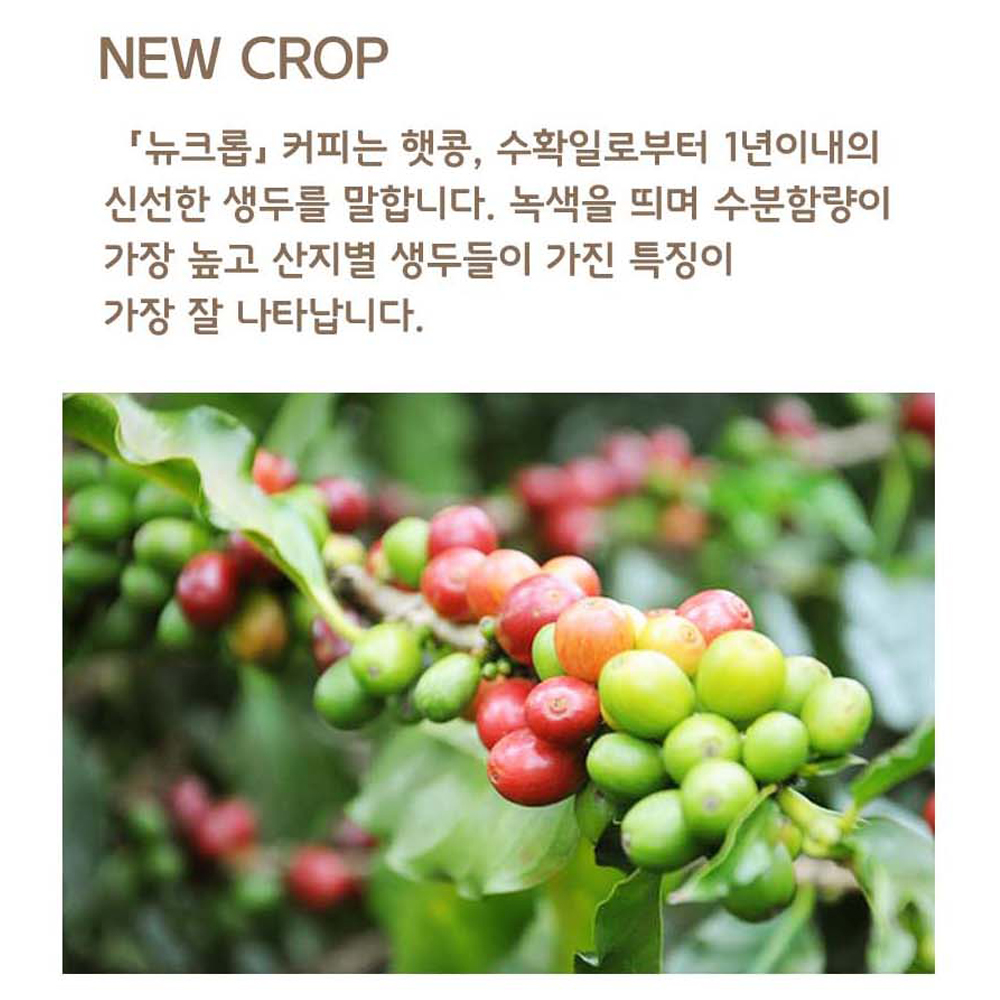 라이프빈 에티오피아 아리차 워시드 예가체프 G1 500g 원두커피 : 라이프빈
