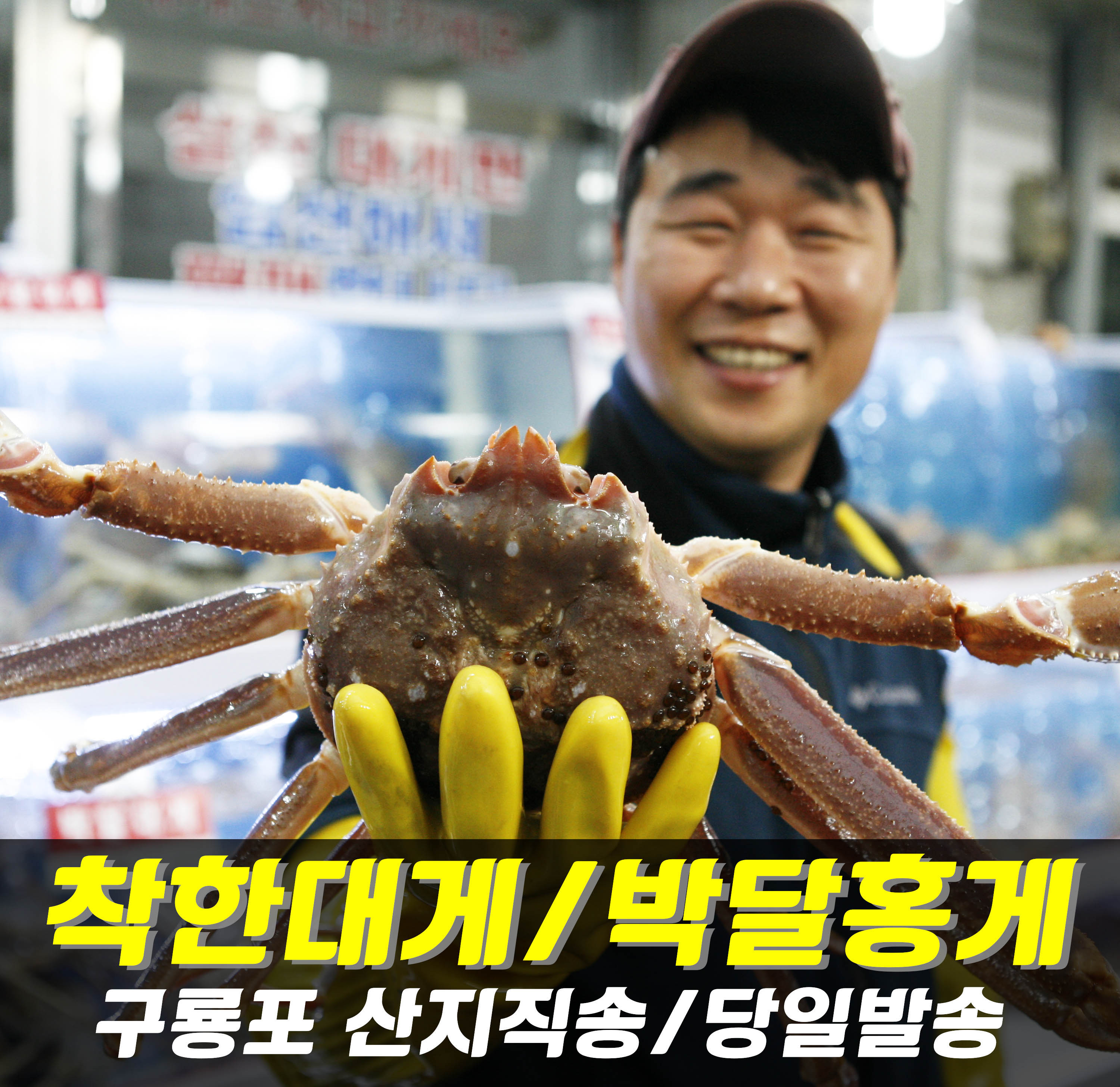 구룡포 국산 제철 박달 대게 홍게 게 다리 수율 90%이상 직송 : 착한대게직판장 대방수산