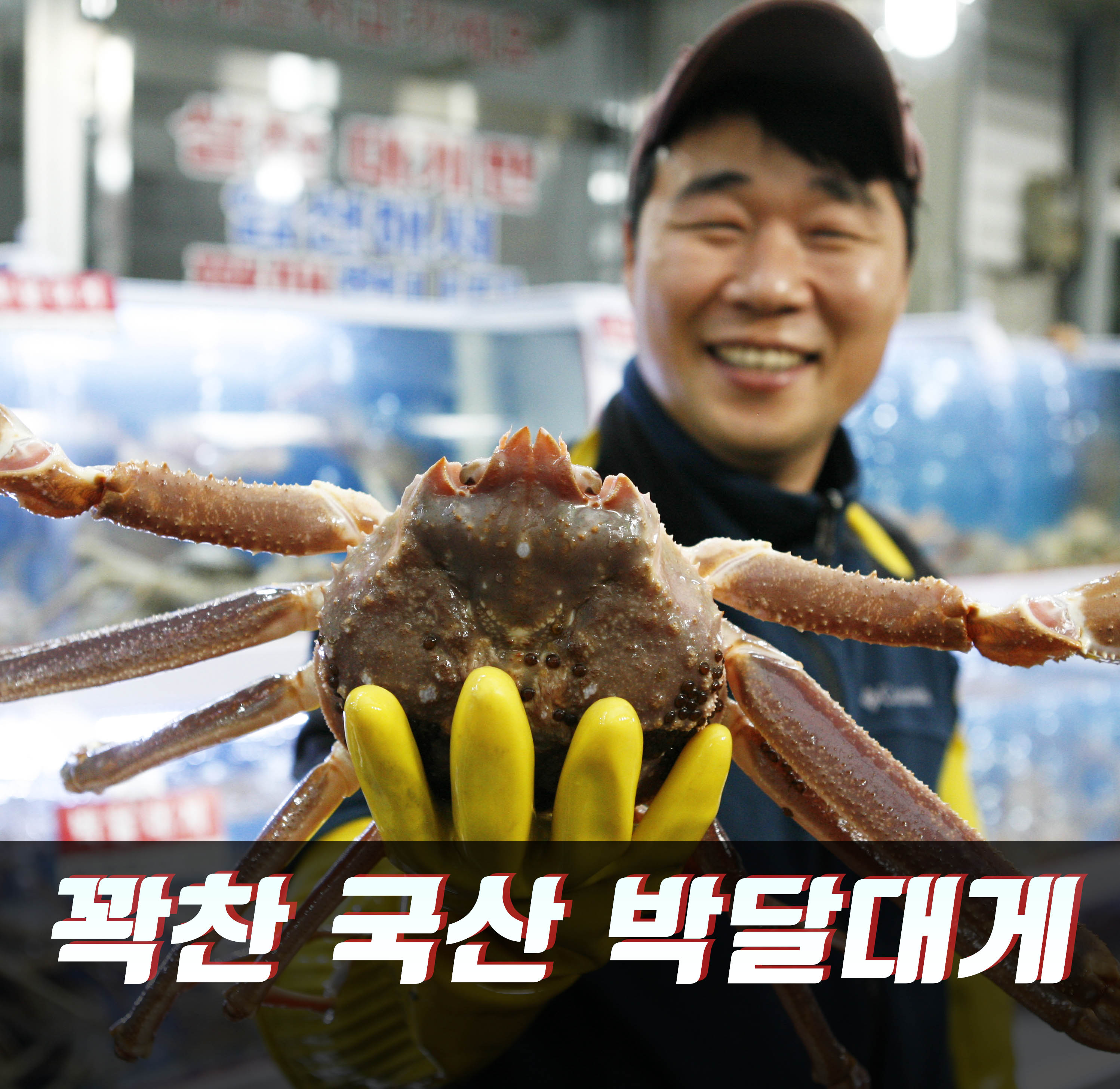 구룡포 국산 제철 박달 대게 홍게 게 다리 수율 90%이상 직송 : 착한대게직판장 대방수산