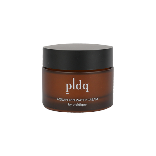 [PLDQ] 피엘디크 아쿠아포린 워터 크림 50g : 에이디웰샵