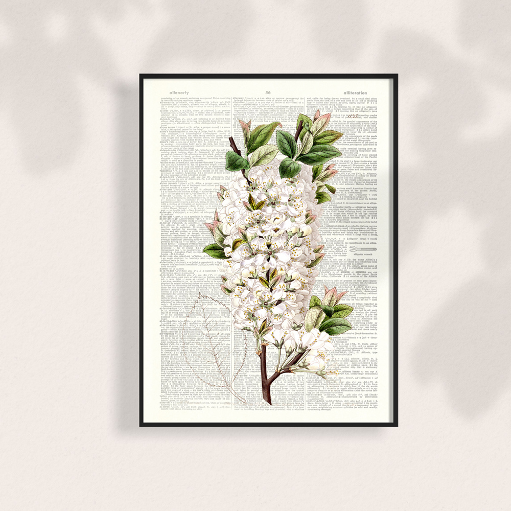 수국 꽃 그림 & 액자, 인테리어 장식 소품 선물 - 딕셔너리 아트프린트 아트인데코 Artindeco design - DA645 : 아트인데코