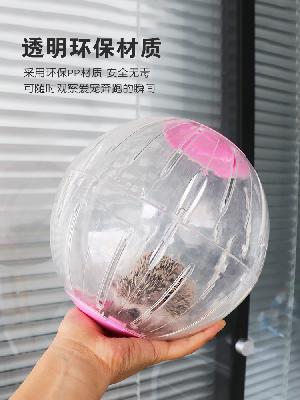 햄스터 쳇바퀴 놀이터 다람쥐 고슴도치 피그 러닝 장난감 햄스터볼 투명 금사곰 초대밀주머니 : 보부상 인터내셔널