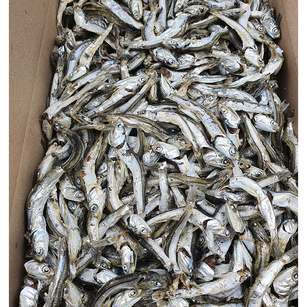 건통령 국내산 남해 상급 잘빠진 다시멸치 1.5kg : 건통령