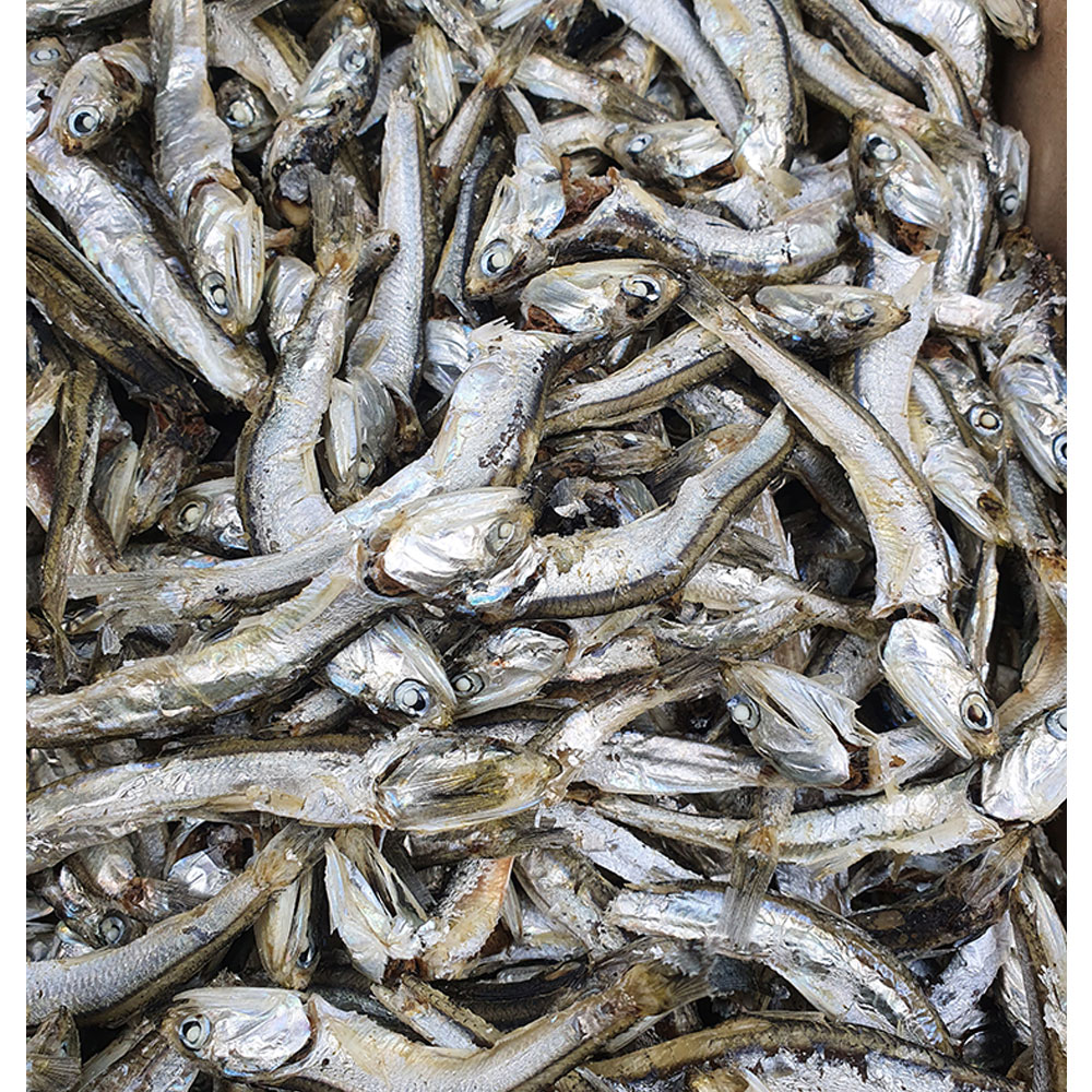 건통령 국내산 남해 상급 잘빠진 다시멸치 1.5kg : 건통령