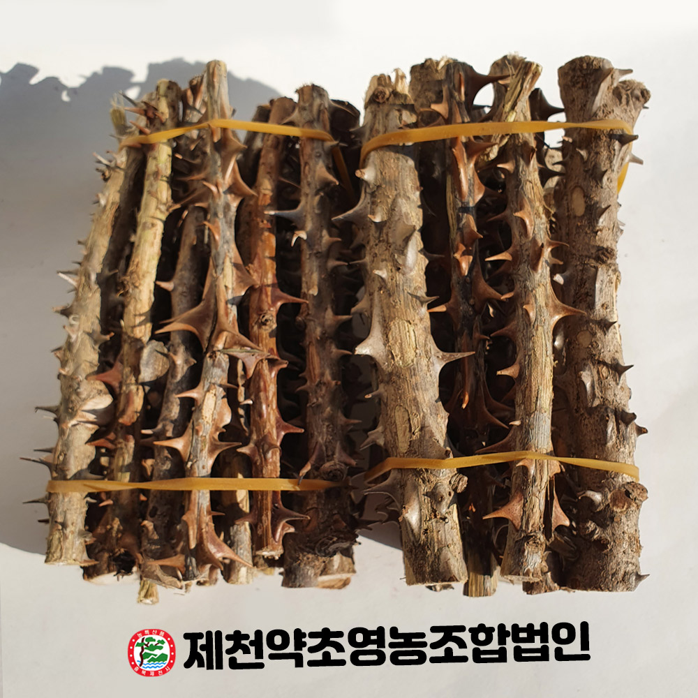 국산 엄나무(해동목)1단 제천약초영농조합법인 제천약초시장 : 제천약초영농조합법인