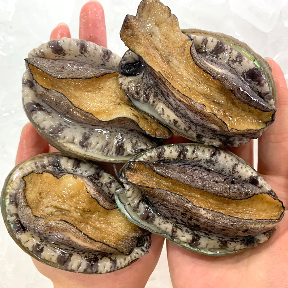 맛좋은 완도 활전복 전복선물세트 500g : 훈이수산