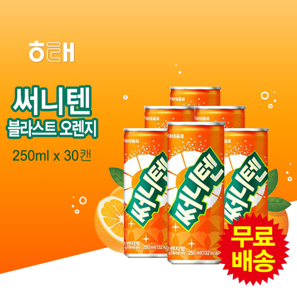 [해태] 써니텐 블라스트오렌지(250mlx30캔) : 더블에이인터내셔널