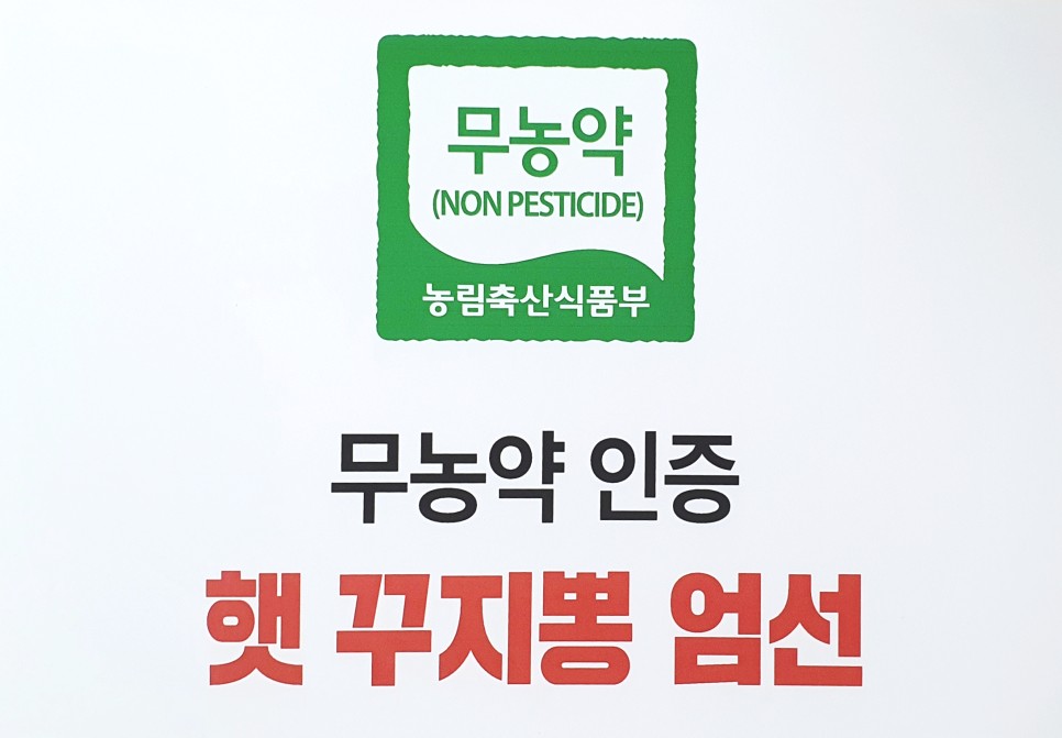 이상인 밀양꾸지뽕열매 진액50포(낱개) : 헤븐쇼핑마켓