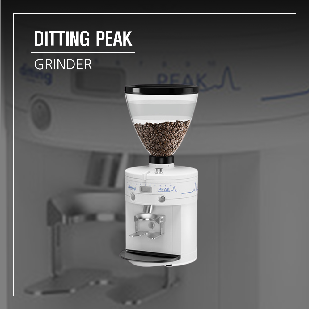 디팅 피크 / DITTING PEAK [부산 경남 전남 커피머신 카페창업] : 지원 컴퍼니