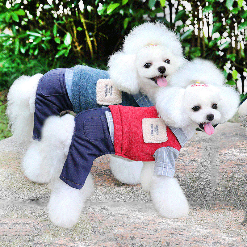 애완동물 반려동물 강아지 고양이 귀여운 멋내기세트 : 트랜디아이