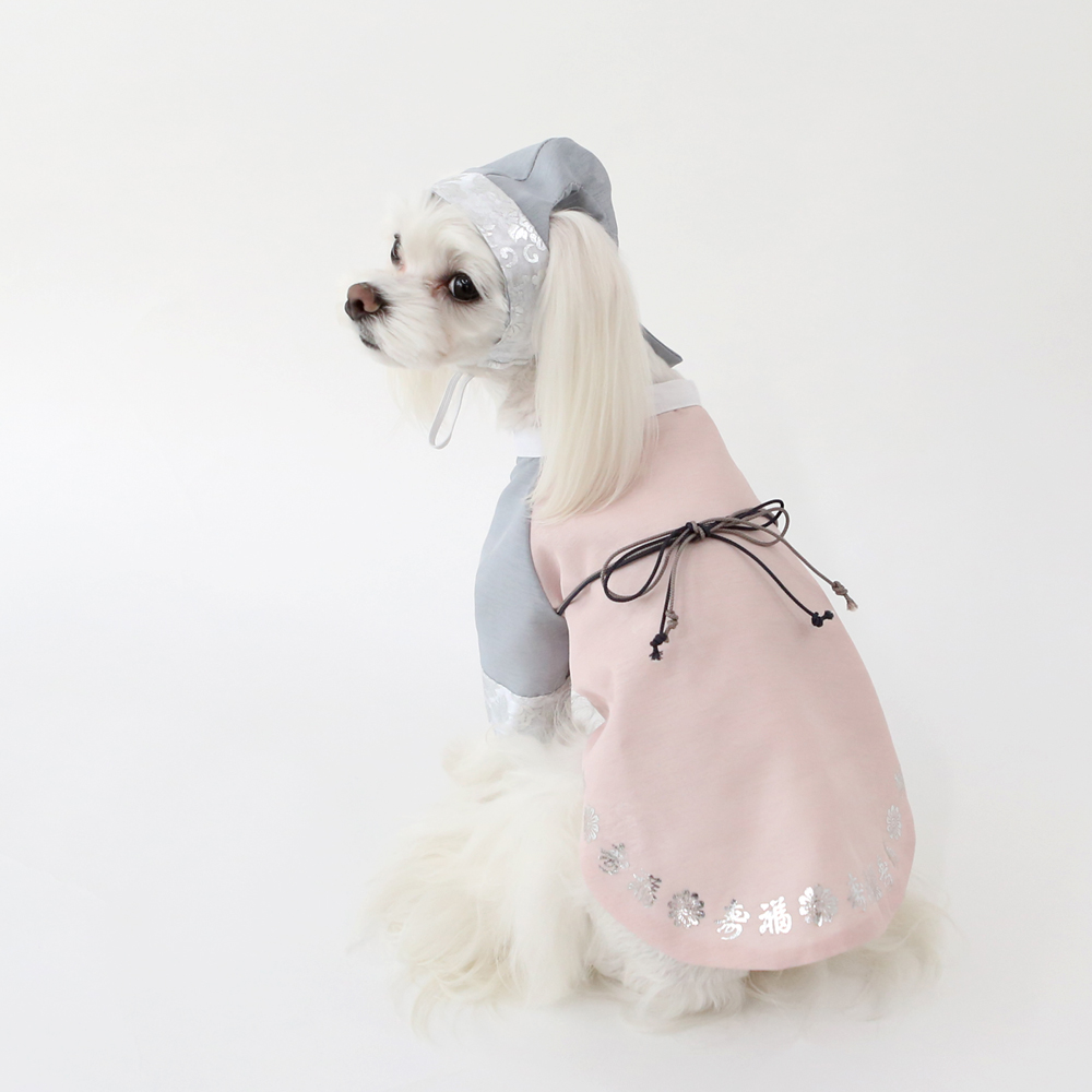 이츠독 강아지 고양이 단아 도련님 한복 (S-XL) : 이츠독