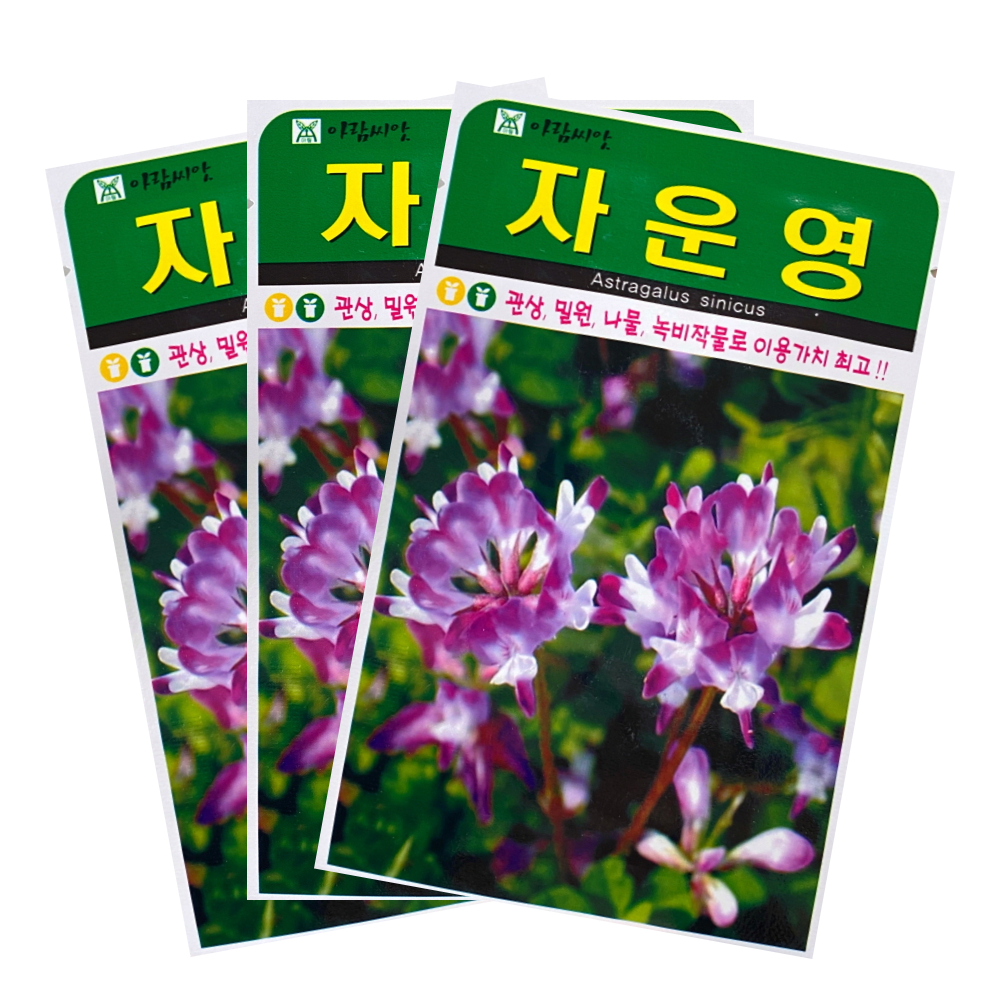 자운영꽃씨앗 야생화종자1000립 : 서진농약사