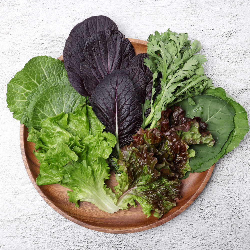 친환경 유기농 모듬 쌈채소 1kg 600g 당일수확 산지직송 샐러드채소 쌈야채 : 호태아빠의 자연마을