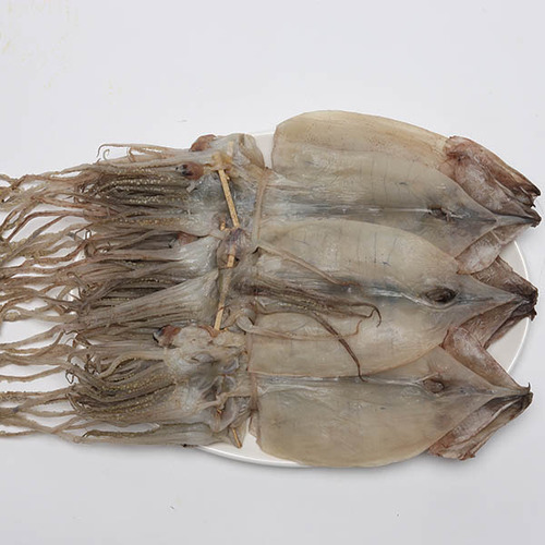 설이네