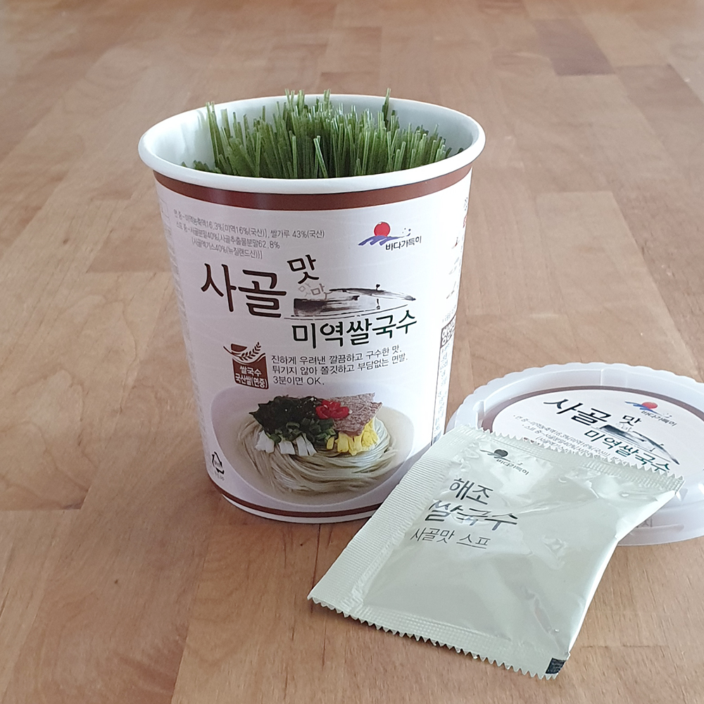 [완도바다가득히] 사골맛미역쌀국수-(12개) 진하게우린 구수한맛 해조국수 쌀국수컵라면 : 씨위드마켓