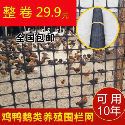 닭장 고라니 노루 울타리 가드 실크 치킨 그리드 겔 그리드 집 닭 그물로 블로킹 플라스틱 칸막이 가드레일 양식 울타리 : 치키치키차카차카초코초코
