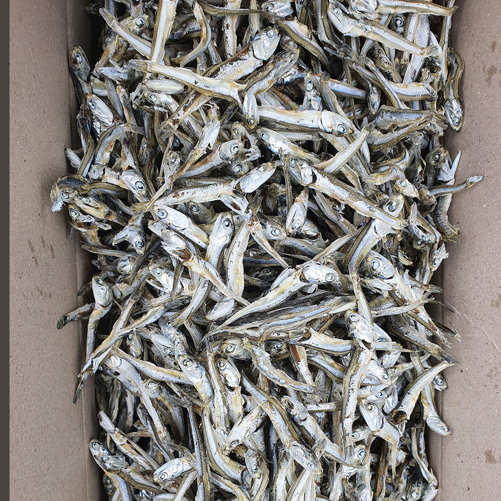건통령 국내산 남해 상급 잔다시멸치 고주바멸치 1.5KG 한박스 : 건통령