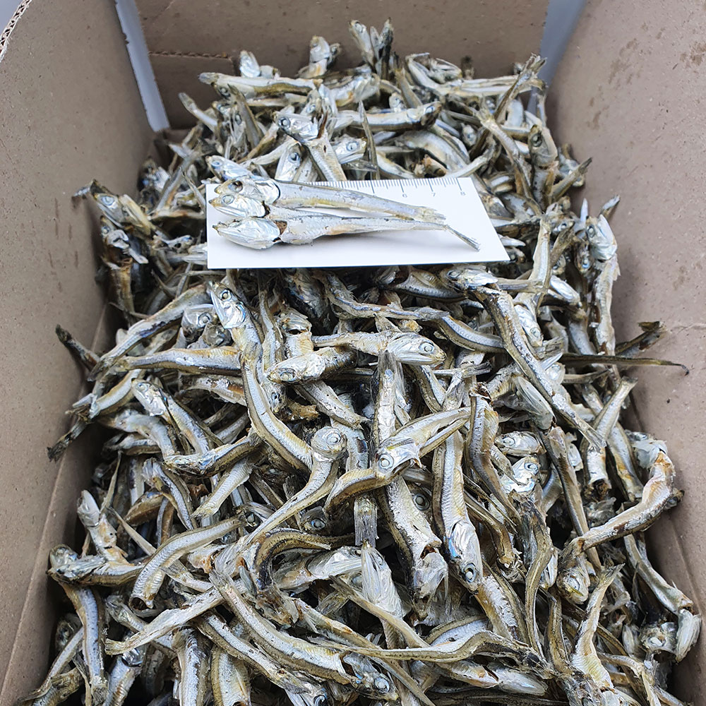 건통령 국내산 남해 상급 잔다시멸치 고주바멸치 1.5KG 한박스 : 건통령