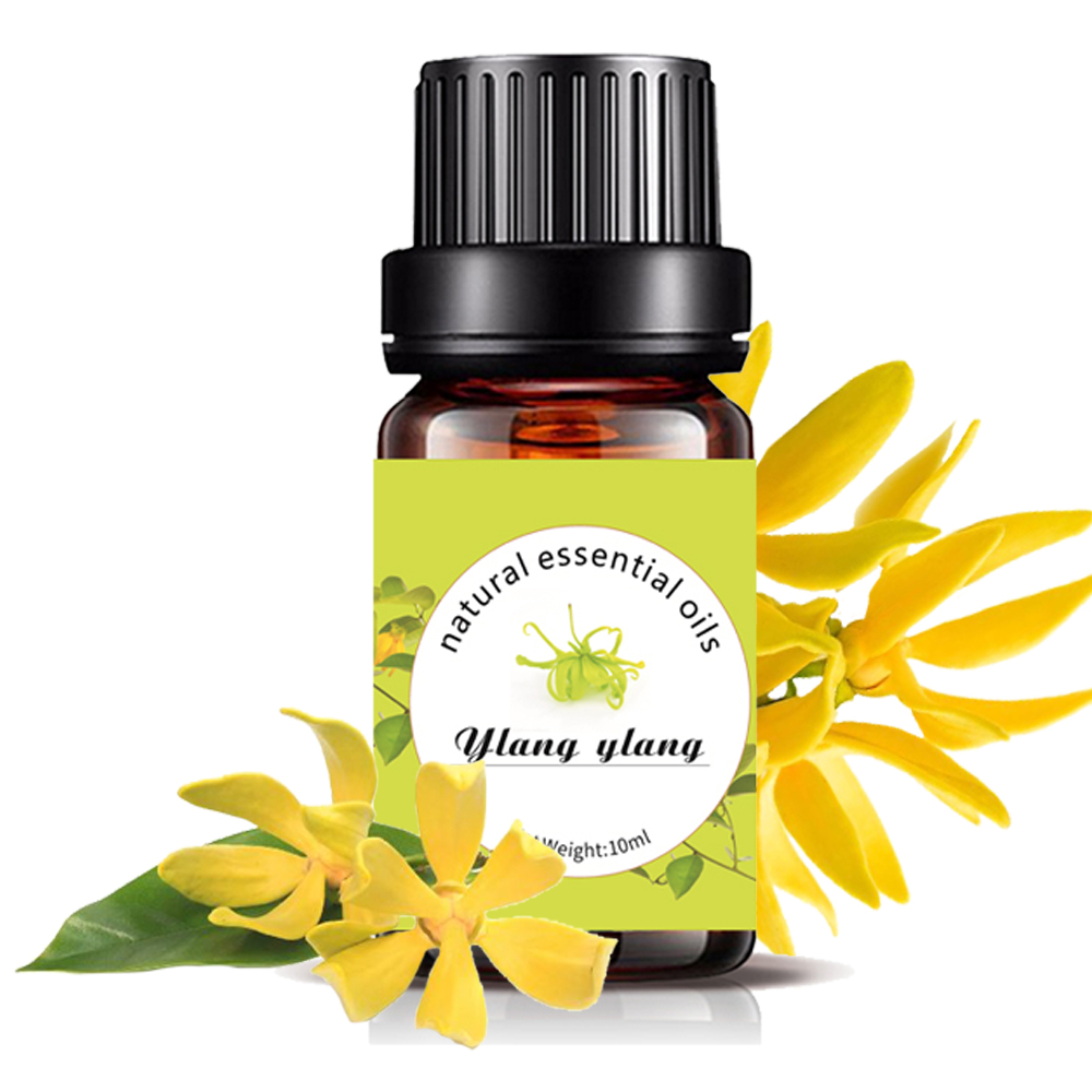 닥터월드 뷰티 일랑일랑 천연 아로마 에센셜오일 10ml : 닥터월드