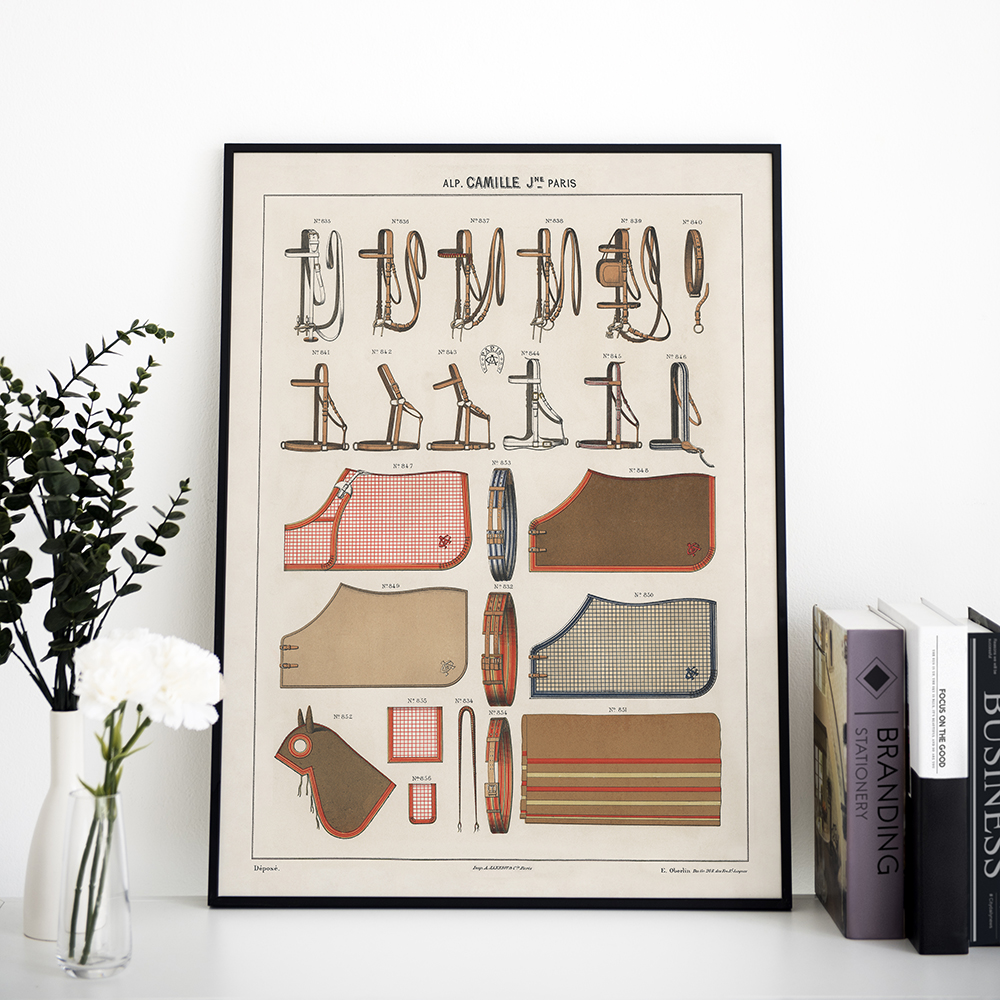 말그림, 승마, 승마용품, 마구 일러스트  그림 인테리어 액자, 아트인데코 디자인 - Artindeco design - ORR21001 : 아트인데코