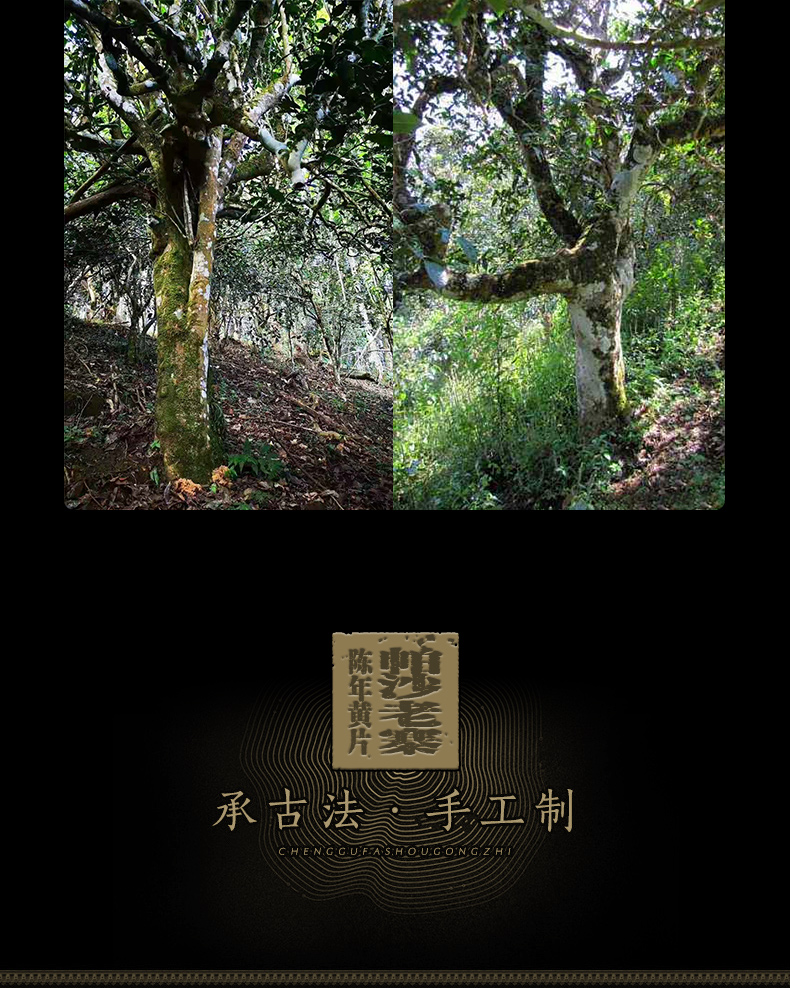 2020년 파샤(사)노채 황엽편 고수보이차 생병 ‘강호 일엽표’ by 윤핀 357g 배송비포함 : 운남상회 티다차이
