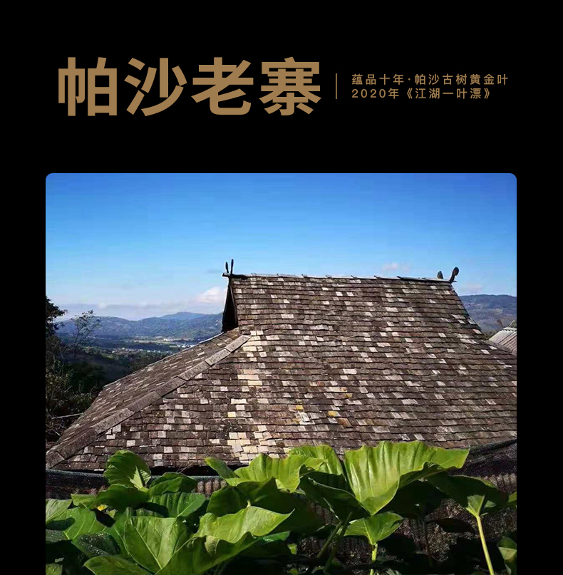 2020년 파샤(사)노채 황엽편 고수보이차 생병 ‘강호 일엽표’ by 윤핀 357g 배송비포함 : 운남상회 티다차이