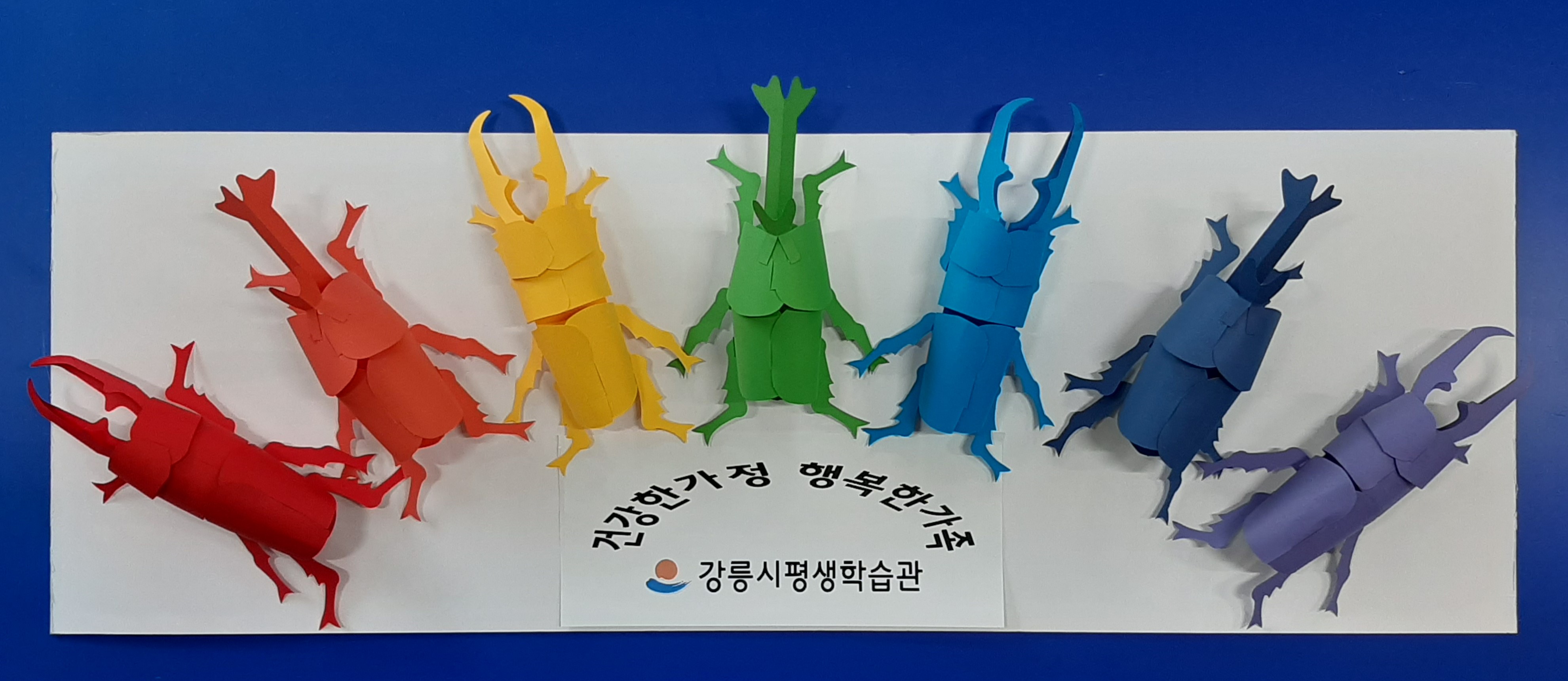 무지개곤충만들기(유치원/초등) 장수풍뎅이/사슴벌레 만들기 한살이학습 곤충모형 학습키트 희망 공구 : 장풍이샵
