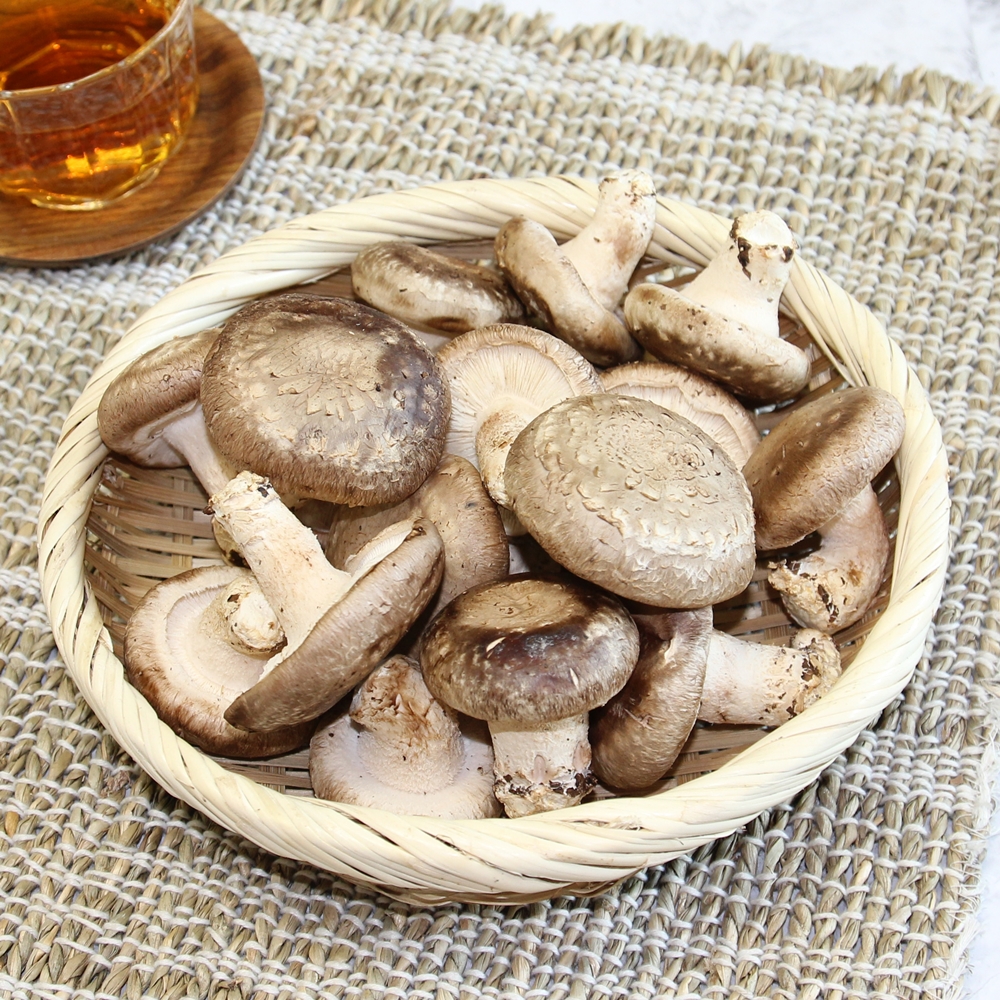 [강산머쉬랜드] 국내산 강원도 생표고버섯 1Kg : 홍천미팜