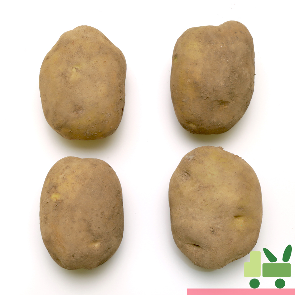 감자 10Kg (왕) : 사라상회