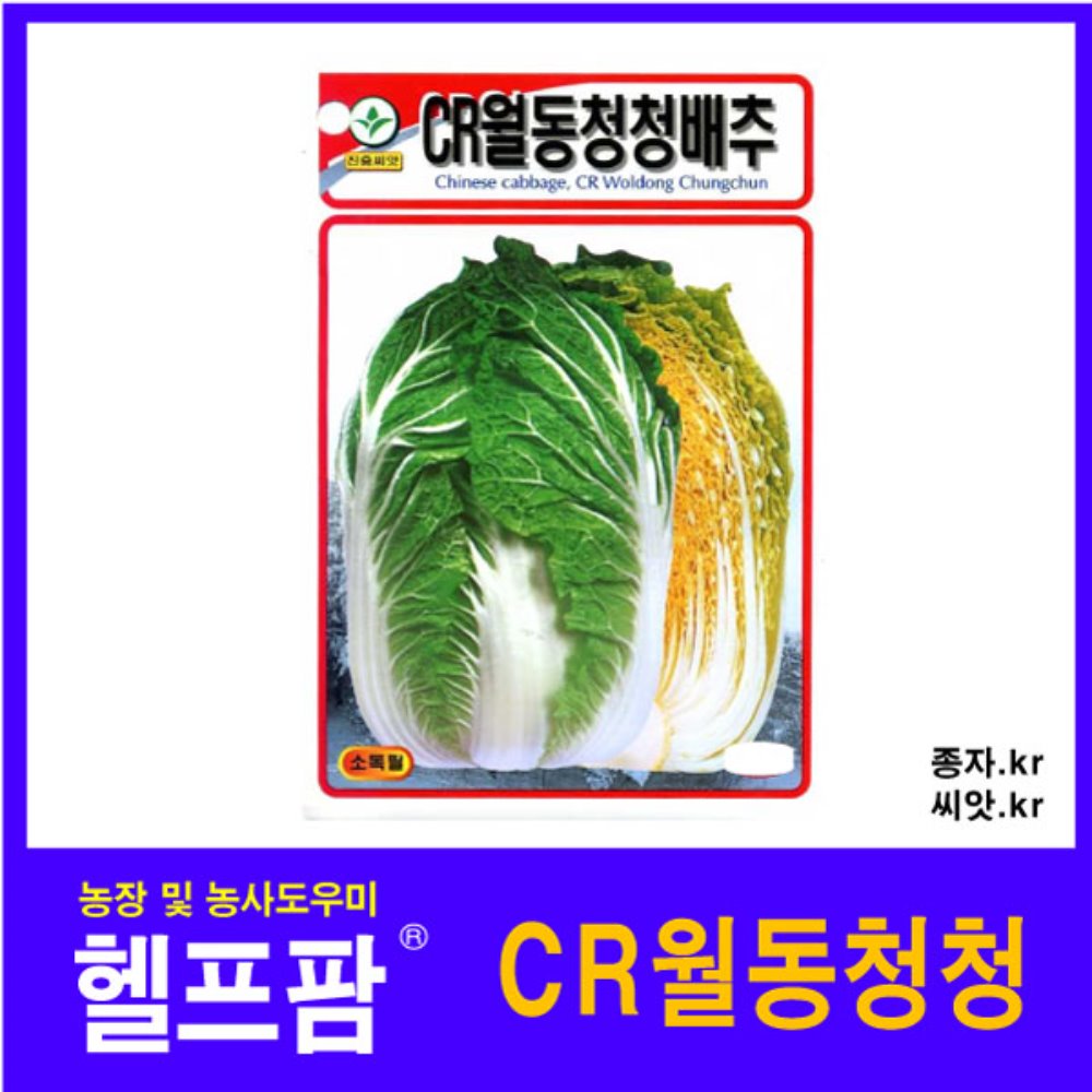 헬프팜 CR월동청청배추 2000립 종자 씨앗 진흥종묘 : 헬프팜-help.farm
