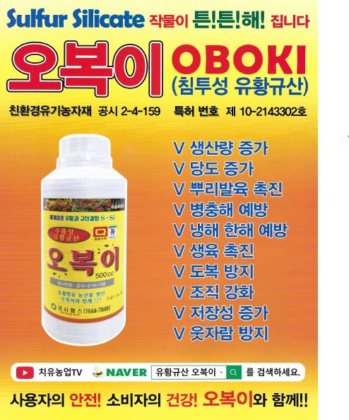 오복이 500ml 침투성 유황규산 세계최초 유황과 규산결합 : 미래로팜