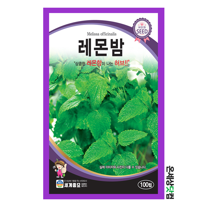 수레국화 2g / 화단 분화 정원 인테리어 각종 꽃씨 허브 : 온세상닷컴1