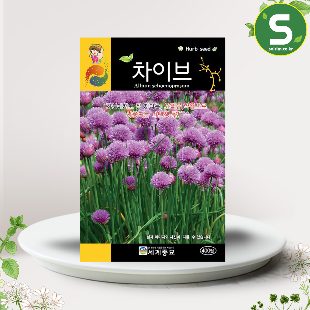허브씨앗 차이브씨앗 400립 차이브 챠이브 허브씨 : 솔림텃밭몰