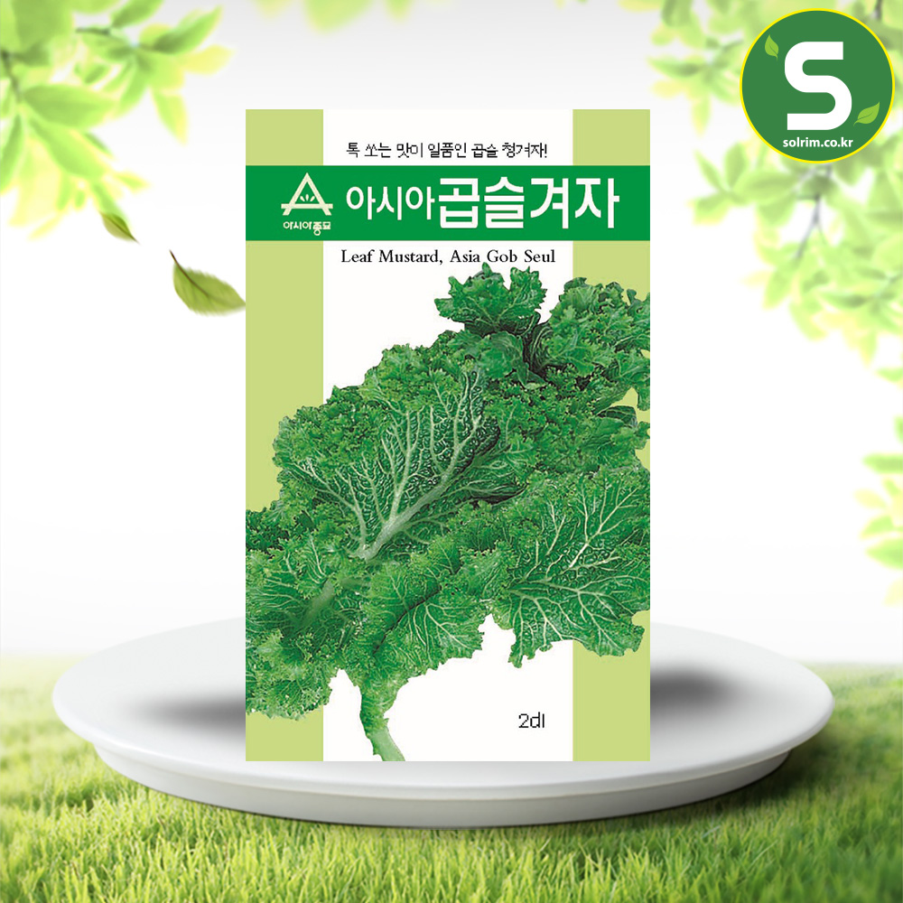 청겨자씨앗 2000립 겨자씨앗 청곱슬겨자씨앗 겨자씨 : 솔림텃밭몰