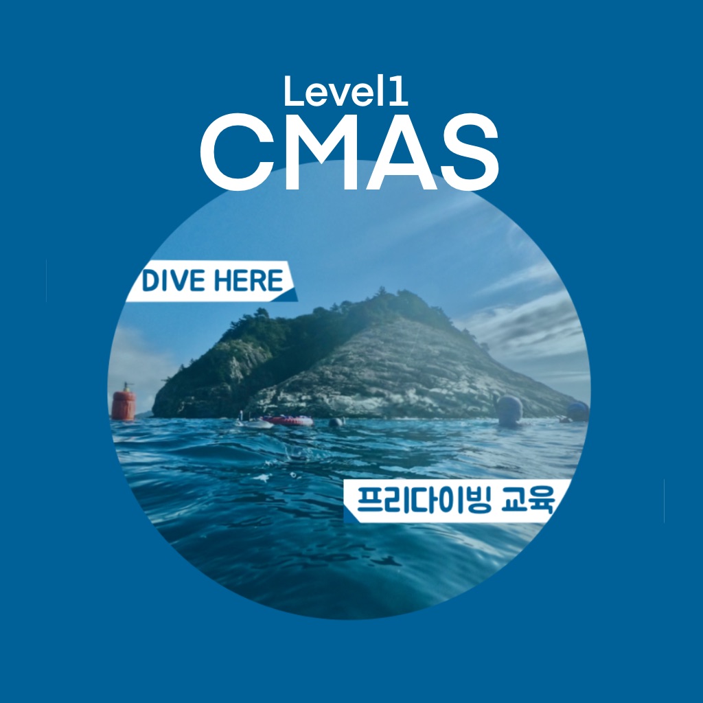 [프리다이빙] CMAS 레벨1 프리다이빙 교육/ 디스커버리 과정 : 수영프리다이빙스쿠버쇼핑몰
