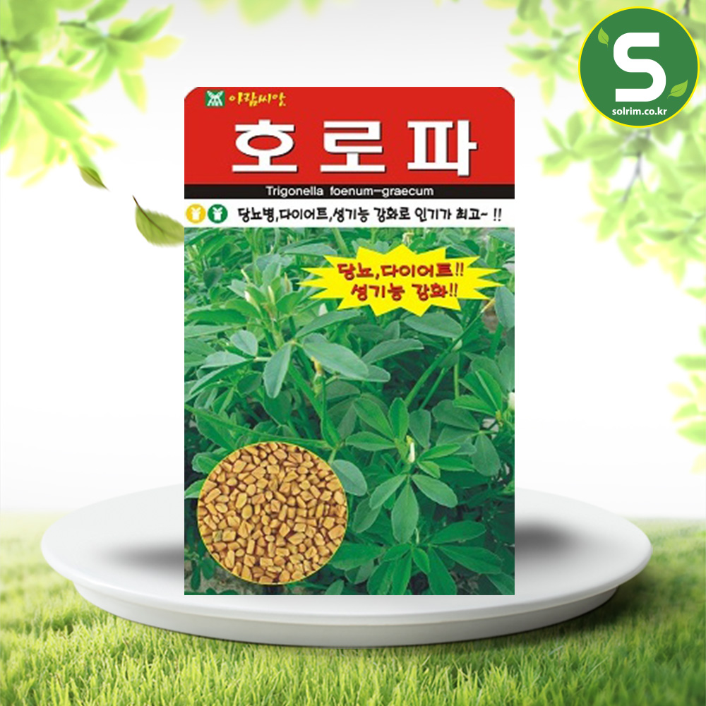 호로파씨앗 100립 호로파 다이어트 성기능강화 약초 : 솔림텃밭몰