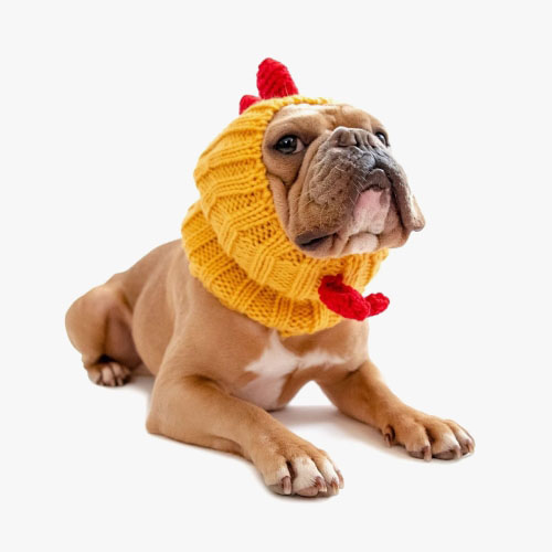 ZOO SNOODS 주 스누드 - 루스터 ROOSTER : 빅독