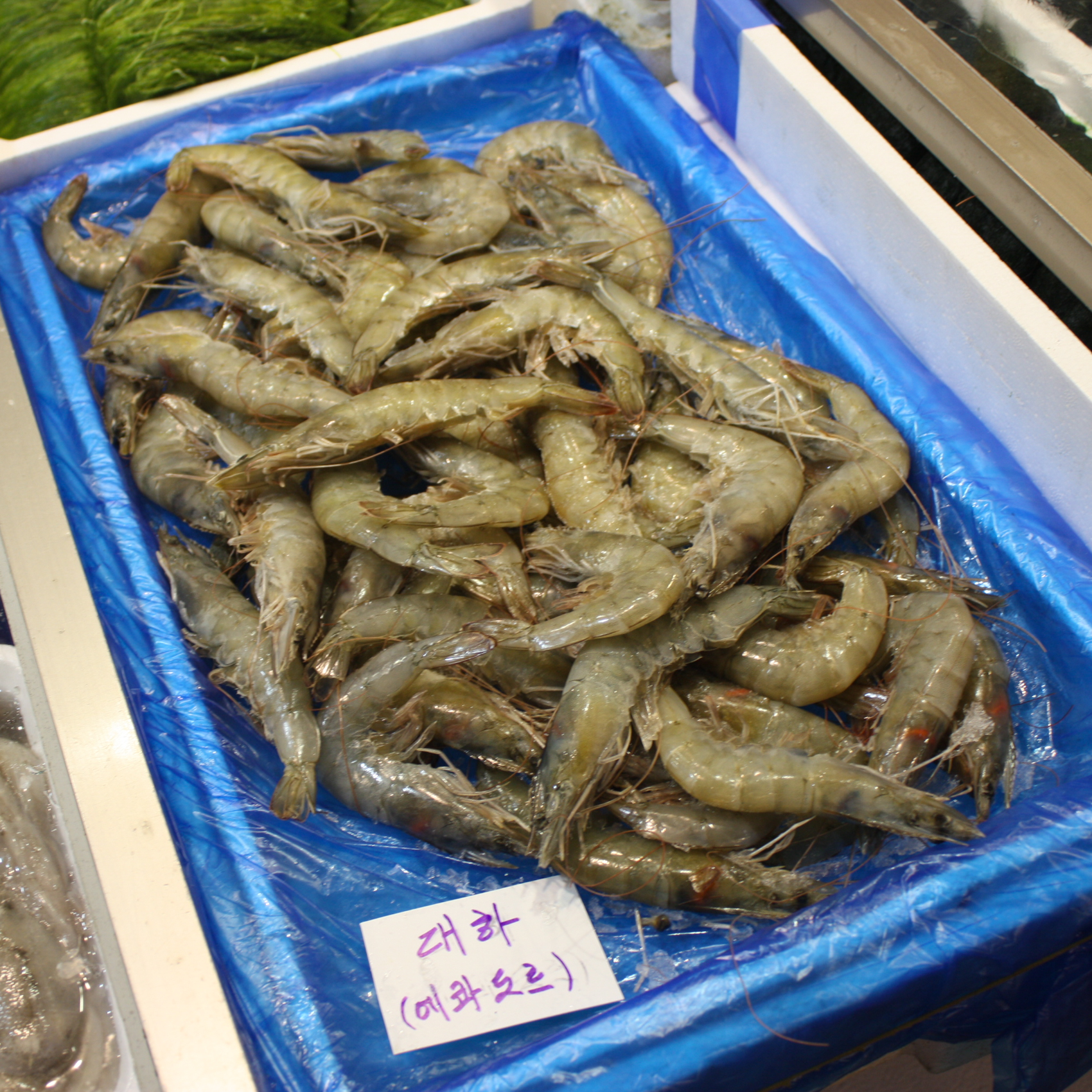 [안양시 배달] 오동통한 대하 (흰다리 새우) 1kg [호계 명품수산] : 동네시장 장보기