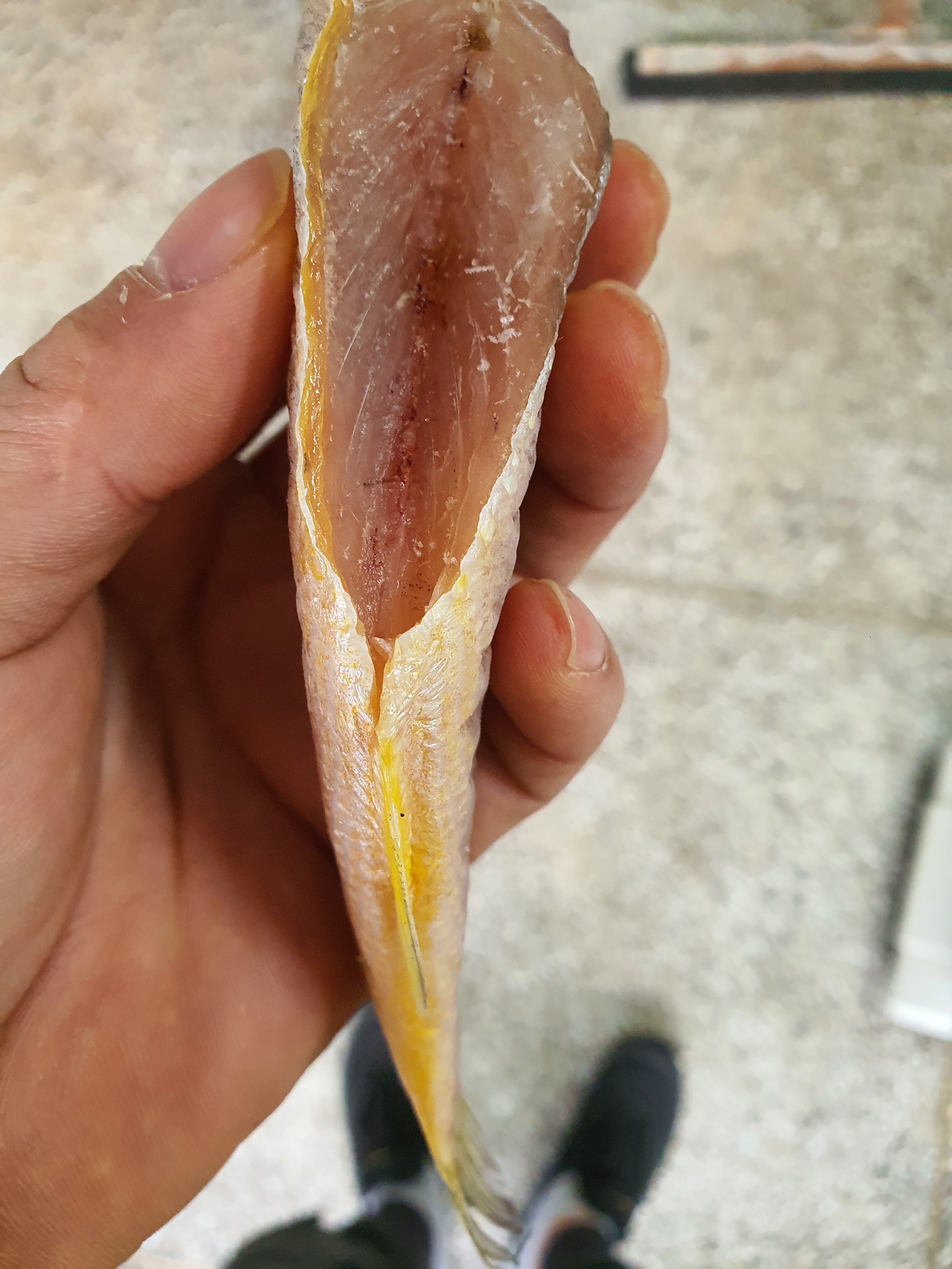 반건조기 두절조기 참조기 집반찬 아이반찬으로 딱이예요 : 문성씨푸드