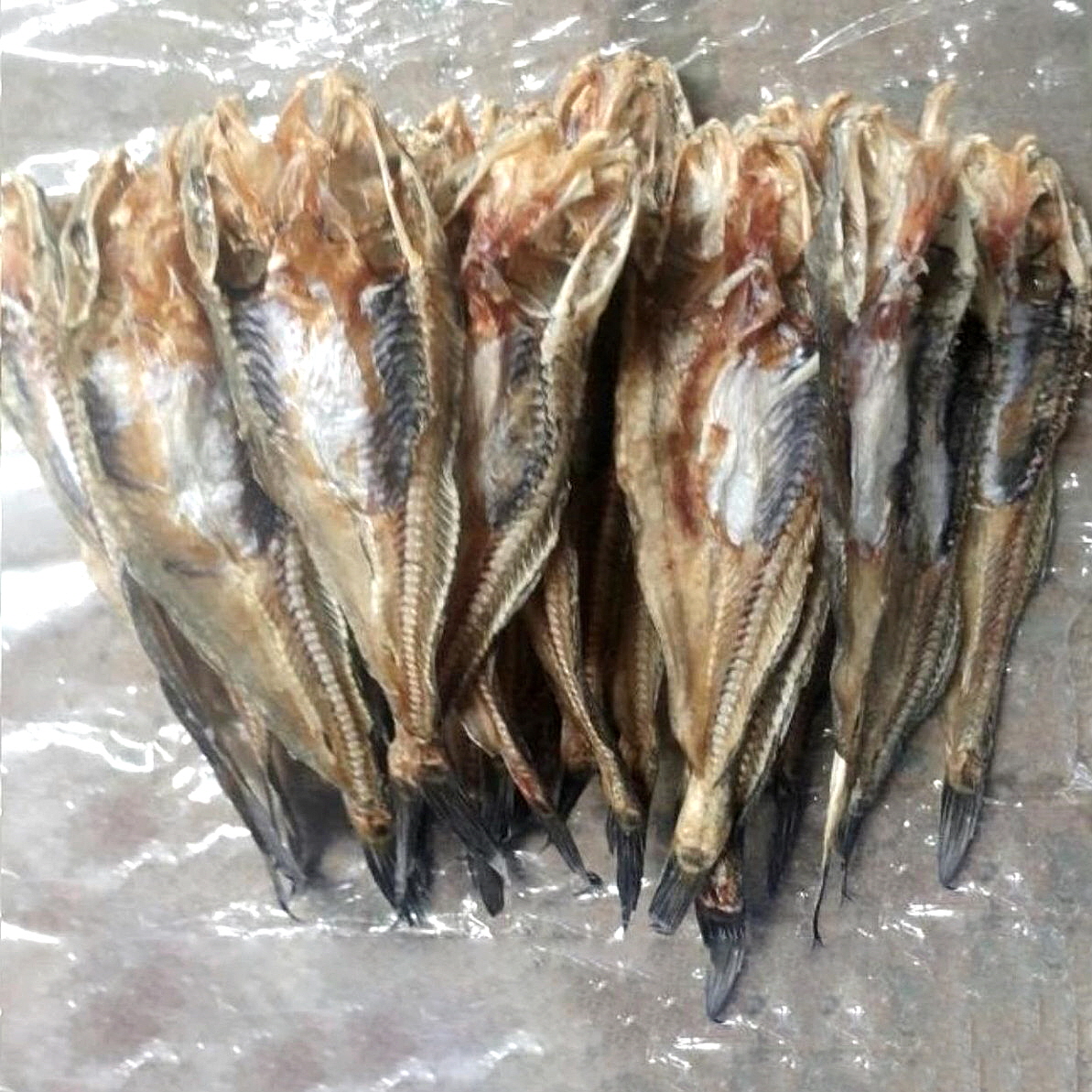 서해안 해풍으로 말린 건조망둥어 500g : 반한푸드