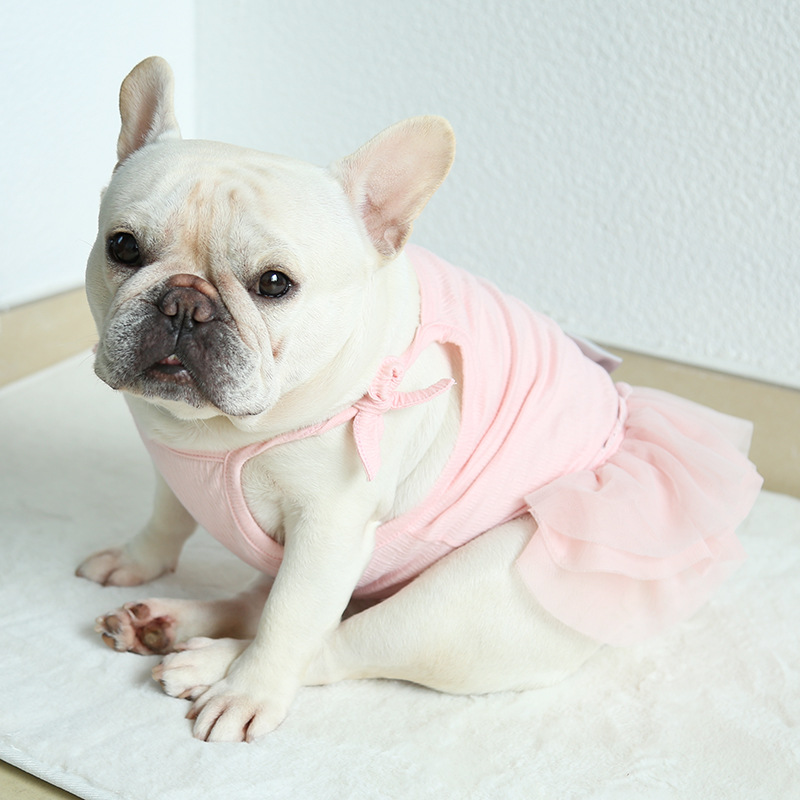 골든독 아기천사 원피스 파티룩 소형견 중형견 프렌치불독 웰시코기 닥스훈트 잉글리쉬불독 착용가능 옷 : 골든독