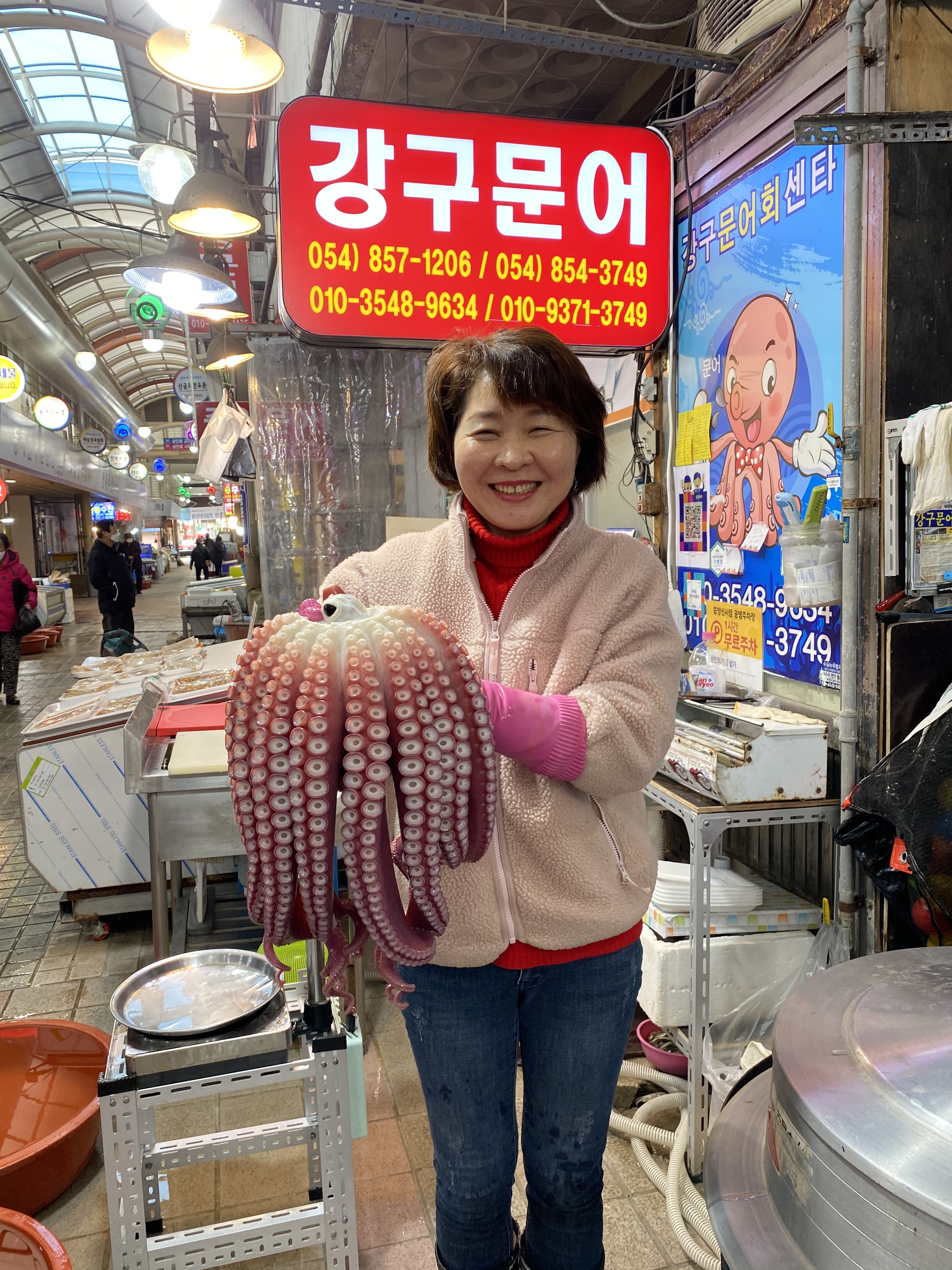 슬라이스1kg/참문어/대왕문어/문어숙회/안동문어 : 안동강구문어