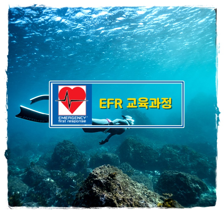 [라온아라 프리다이빙 ] EFR 교육 / 응급구조 강습 / 프리다이빙 강습 / 교육 : 라온아라 프리다이빙