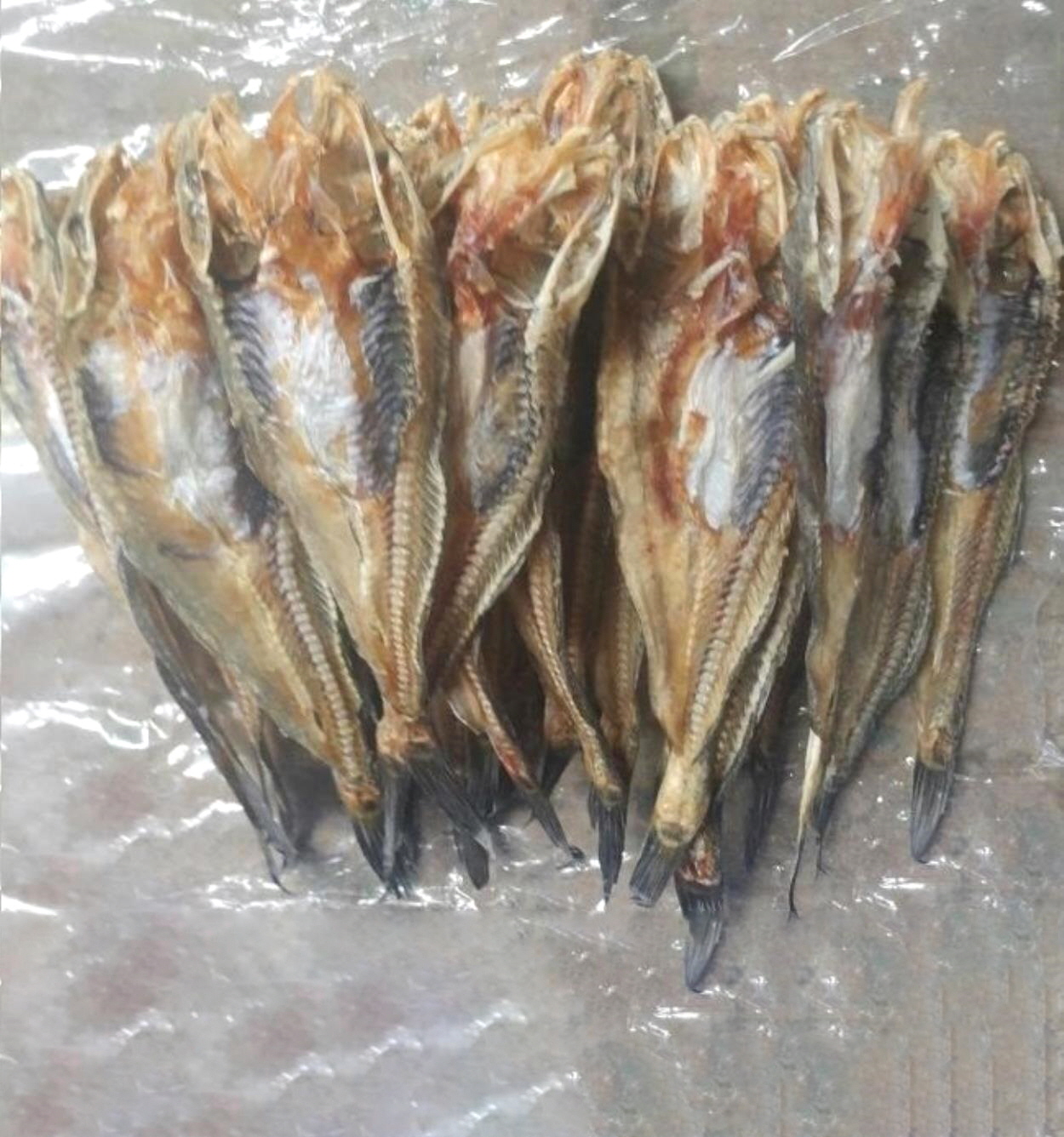 서해안 해풍으로 말린 건조망둥어 500g : 주식회사 군산어담